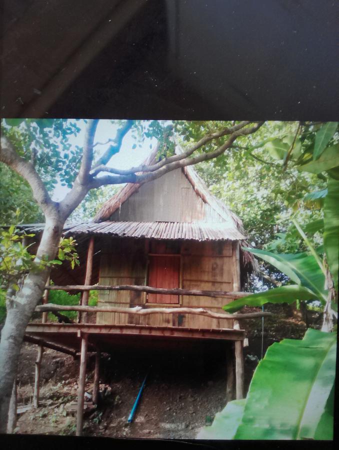 Tree Lodge Banlung Exterior photo