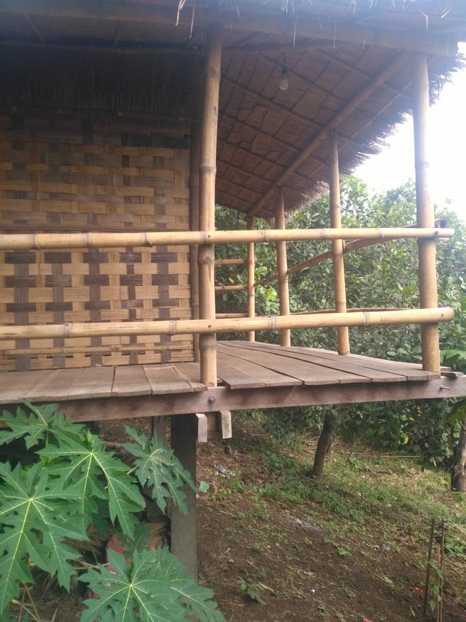 Tree Lodge Banlung Exterior photo