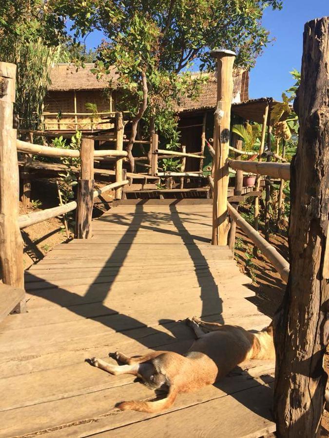 Tree Lodge Banlung Exterior photo