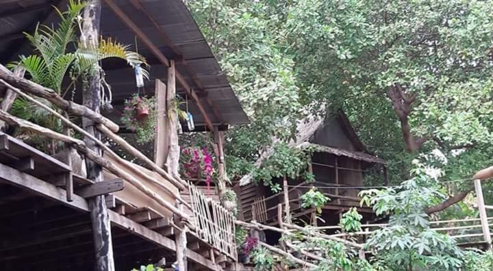 Tree Lodge Banlung Exterior photo
